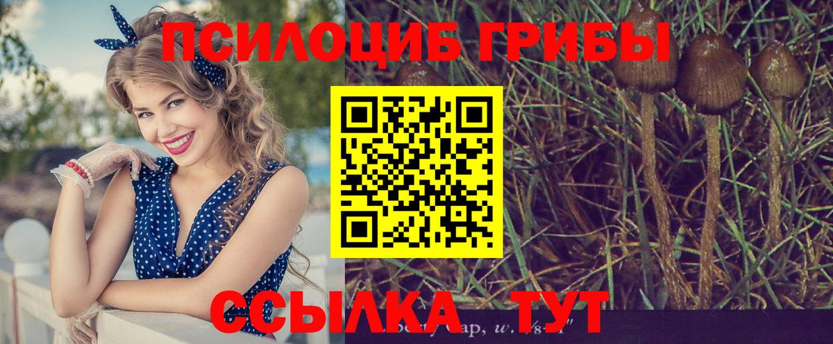 Галлюциногенные грибы мицелий Ярославль
