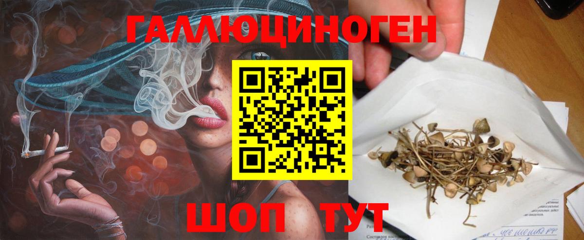 Галлюциногенные грибы MAGIC MUSHROOMS  Галлюциногенные грибы Magic Shrooms  Вход с VPN  Ярославль 